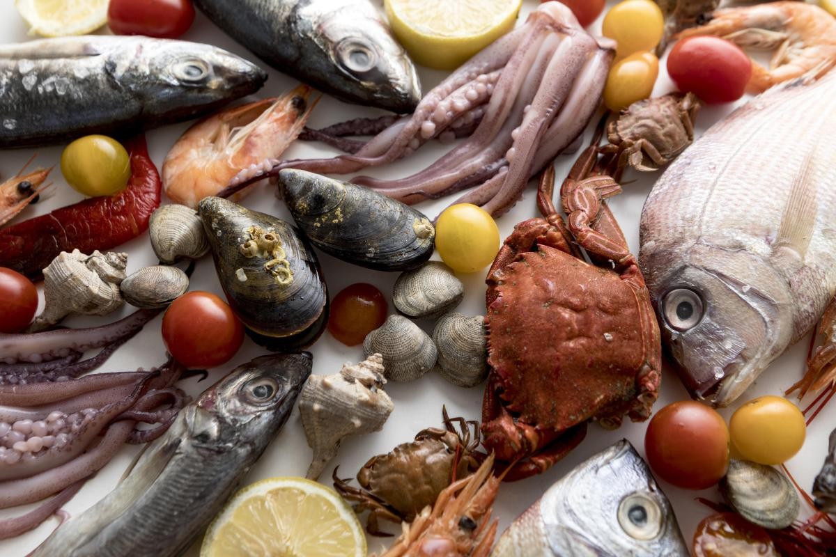 Correias Transportadoras para Peixes e Frutos do Mar: Garantindo a Qualidade do Oceano à Sua Mesa  